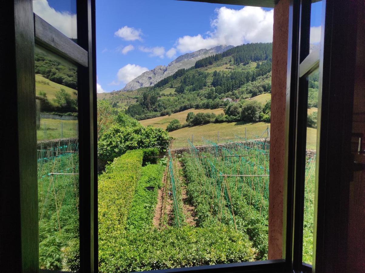 Mirador De Picos Pensionat Aliezo Eksteriør billede